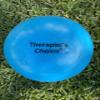 Therapist's Choice Mini Exercise Ball 23cm (9" Diameter) view 4