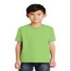 Port & Company Boys 50/50 Cotton/Poly T-Shirt, XL, Lime view 1