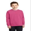 Port & Company Youth Long Sleeve 100% Cotton T-Shirt, Sangria, X-Small view 1