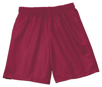 A4 Youth Six Inch Inseam Mesh Short, XL, Cardinal