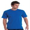 Bayside Adult Basic Tee, Medium, ROYAL view 1