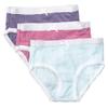 Feathers Girls Multi Stripe Snug Fit Tagless Briefs Underwear - 100% Cotton Super Soft Panties, 10 view 1
