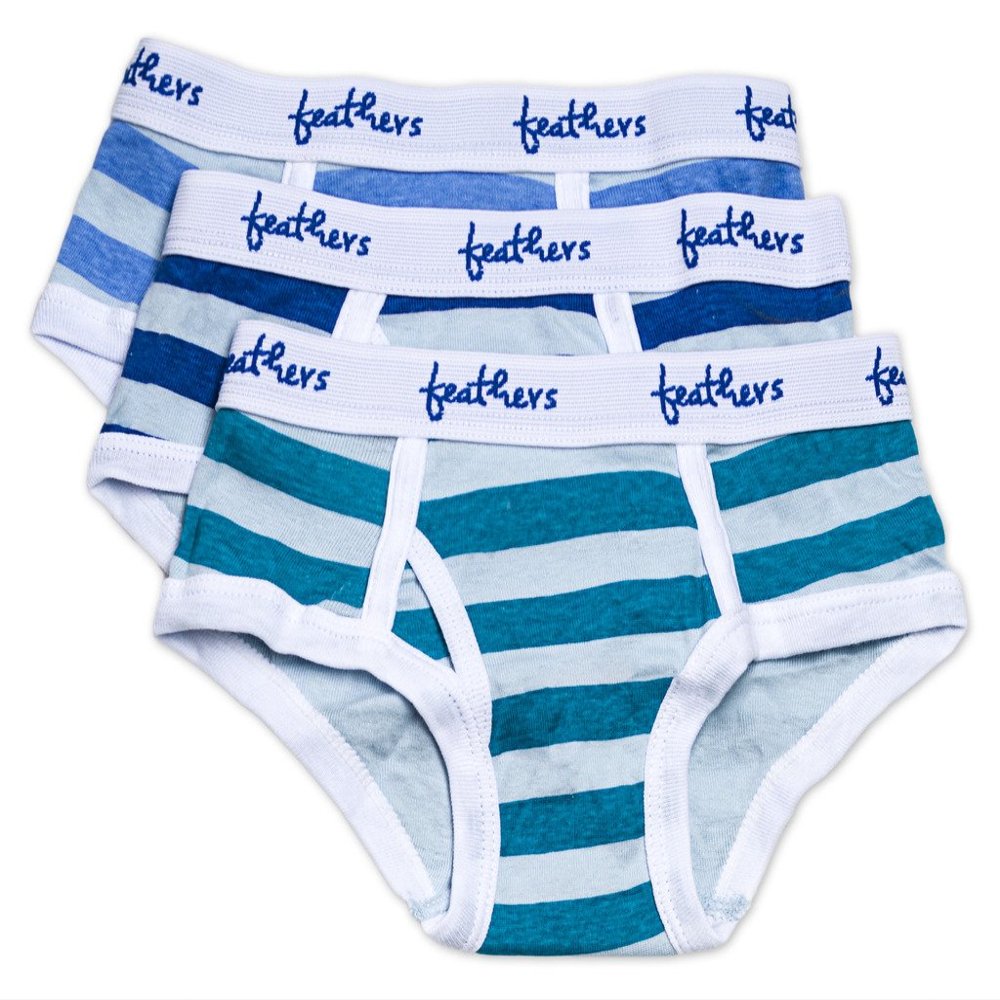 Feathers Boys Multi Stripe Snug Fit Tagless Briefs Underwear - 100% Cotton Super Soft Briefs (3/Pack)