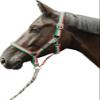HKM Flags Headcollar with Snap Hook view 2