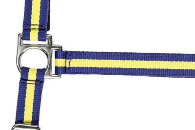 HKM Flags Headcollar with Snap Hook