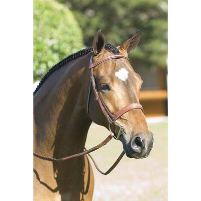 Pessoa Rodrigo Wide Noseband Show Bridle Pony Dark