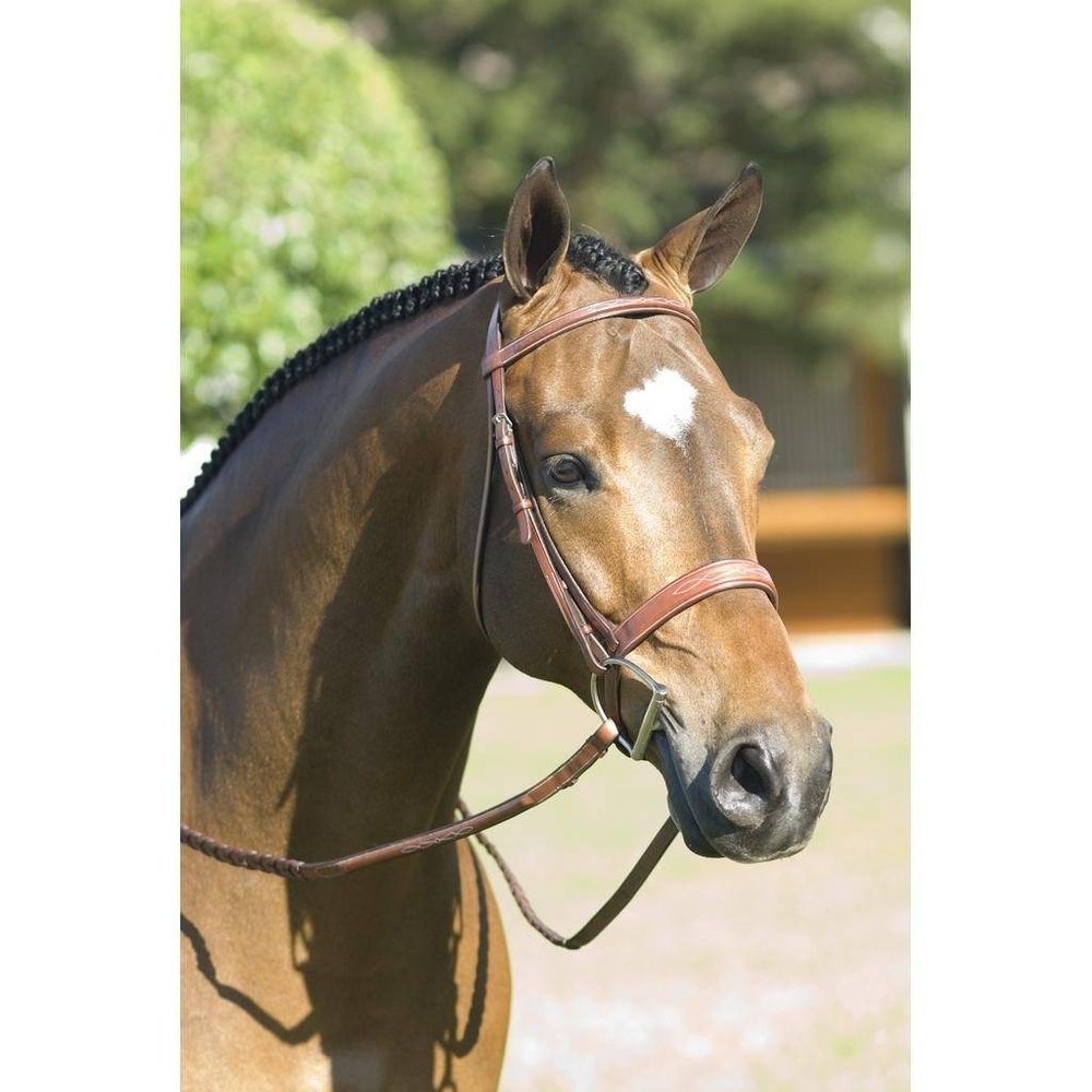 Pessoa Rodrigo Wide Noseband Show Bridle Pony Dark