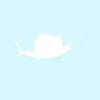 Sailfish Billfish Fish - Vinyl Decal Sticker - 8.5" x 3.75" - White view 1