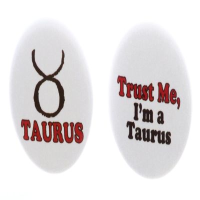 A&T Designs Set 2 Taurus 2.25" Keychains Zodiac Horoscope Astrological Sign