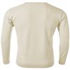 Daniel K Men's Long-Sleeve Basic V-Neck Sweater Size S Cream view 2