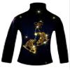 Ice Fire Polartec Figure Skating Jacket with Pair of Skates Design (Gold Crystals, Adult Small) view 1