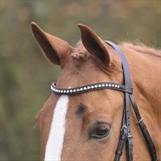 Shires Aviemore Large Diamante Browband (Havana, Pony)