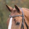 Shires Aviemore Large Diamante Browband (Havana, Pony) view 1
