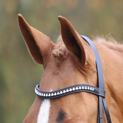 Shires Aviemore Large Diamante Browband (Black, Full)