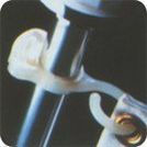 2 X Taylor Made Products Charlevoix Antenna/Burgee Clip