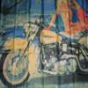 3x5 Blonde Girl on Motorcycle Harley Davidson Bike Flag 3'x5' Banner view 3