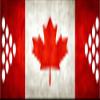 PARTYPONG 8-Foot Beer Pong Table w/Cup Holes - Canada Graphic view 3