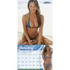 2016 Sports Illustrated Swimsuit Wall Calendar by Trends International view 3