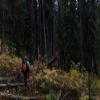 Orange Aglow Blaze Orange Mesh Safety Panel with Reflective Strips (Large, 9" x 12") Lightweight High Visibility Hunting & Outdoors Safety Panel Attaches to Backpacks, Tents, Blinds, and Gear view 4