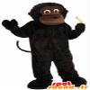 SpotSound Brown Monkey, Chimpanzee, Small Gorilla view 1
