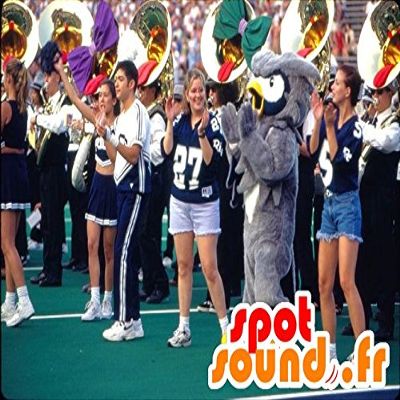 AmazonSpotSound