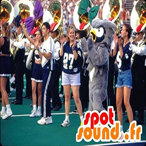 AmazonSpotSound