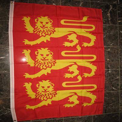 3X5 KING RICHARD I FLAG THE LION HEART ENGLAND 3'x'5' vertical banner grommets