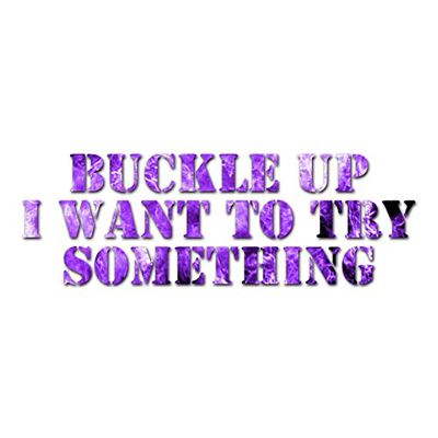 Buckle Up I Want To Try Something - Vinyl Decal Sticker - 9" x 3" - Purple Flames
