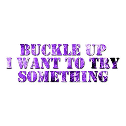 Buckle Up I Want To Try Something - Vinyl Decal Sticker - 9" x 3" - Purple Flames