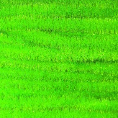 Hareline Fly Tying Ultra Chenille - Medium, Fluorescent Chartreuse