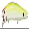 TackleHouse, Minnow, Contact, Feed, Shallow Plus, 6.1 inches (155 mm), 1.2 oz (31 g), Chart Back/Glow Berry #P-2 155PLUS Lure view 1
