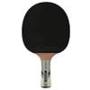 Donic-Schildkrt Waldner 3000 Table Tennis Bat, ABP Handle, Sponge 2.1 mm, Carbon Wood, Liga Pad - ITTF, 751803 view 1
