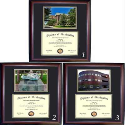 Michigan Technological University Diploma Frame - Photo Option #1 - Cherry Frame