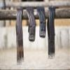KIEFFER Leather Saddle Girth Kieffer Ultrasoft view 3