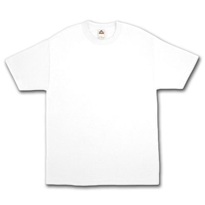 AlStyle Apparel AAA Plain Blank Men's Short Sleeve T-Shirt Style 1301 Crew Tee