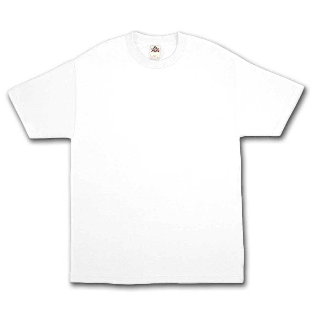 AlStyle Apparel AAA Plain Blank Men's Short Sleeve T-Shirt Style 1301 Crew Tee