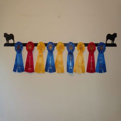 Showoff award racks - Dogs (Wall Mount, Bulldog)