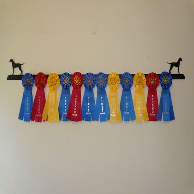 Showoff award racks - Dogs (Wall Mount, Pointer)