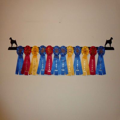 Showoff award racks - Dogs (Wall Mount, Brittany)