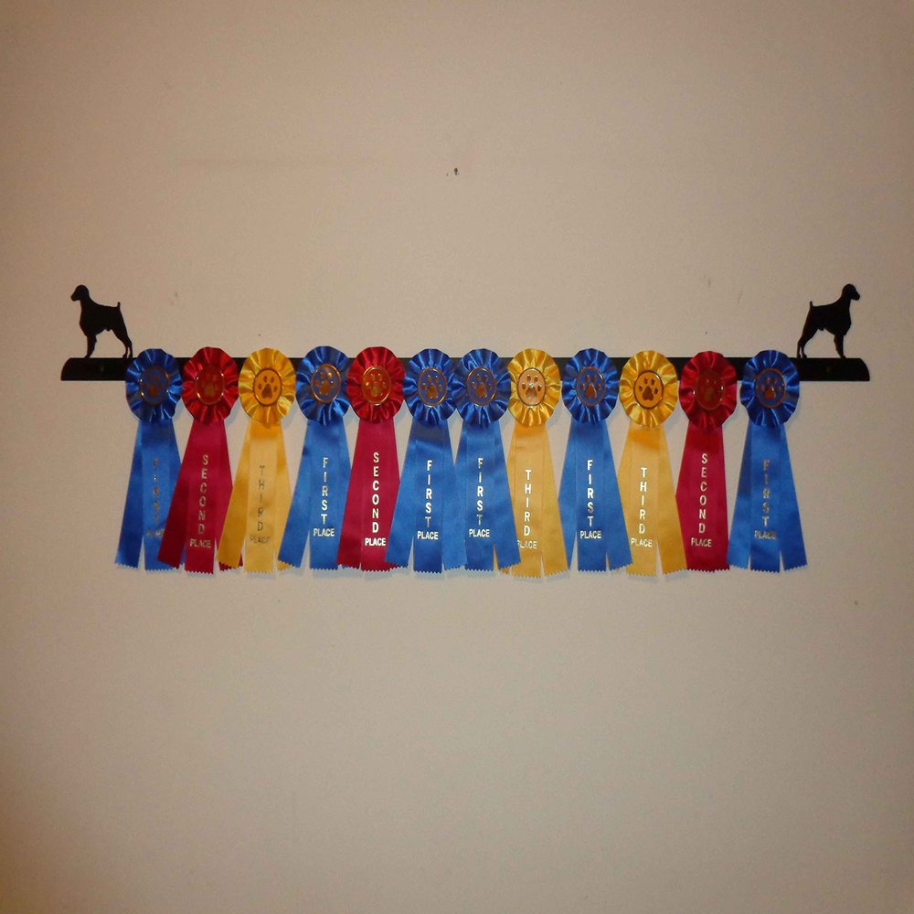 Showoff award racks - Dogs (Wall Mount, Brittany)