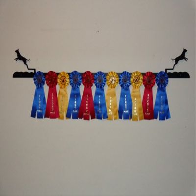 Showoff award racks - Dogs (Wall Mount, Dock Dog)