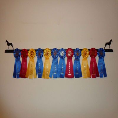 Showoff award racks - Dogs (Wall Mount, Doberman Pinscher)