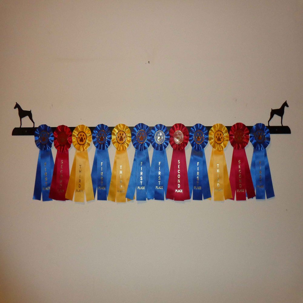 Showoff award racks - Dogs (Wall Mount, Doberman Pinscher)
