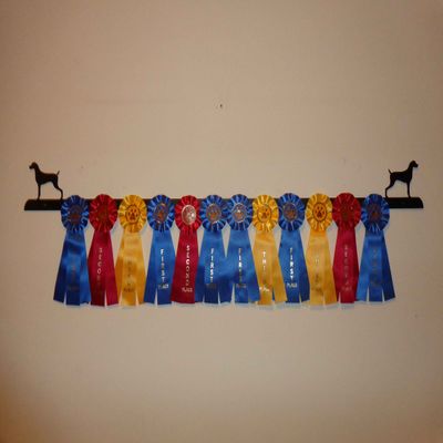 Showoff award racks - Dogs (Wall Mount, Weimaraner)
