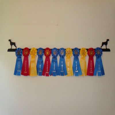 Showoff award racks - Dogs (Wall Mount, Schnauzer)