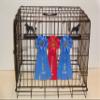 Showoff award racks - Dogs (Crate Mount, Brittany) view 1