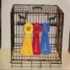Showoff award racks - Dogs (Crate Mount, Belgian Malinois) view 1