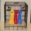 Showoff award racks - Dogs (Crate Mount, Boston Terrier) view 1
