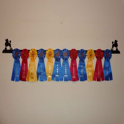 Showoff award racks - Dogs (Wall Mount, Poodle)