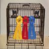 Showoff award racks - Dogs (Crate Mount, Samoyed) view 1